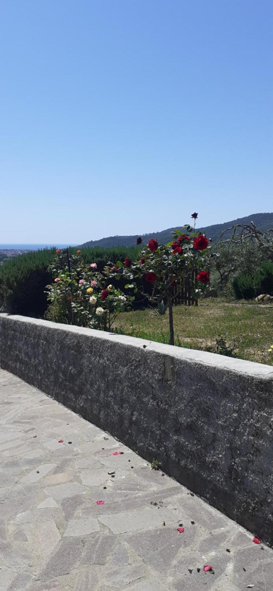 Bed and Breakfast Bellavista Prile Castiglione della Pescaia Pokoj fotografie